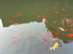 -宁波市保国寺古建筑博物馆