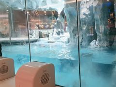 -帝企鹅自助餐厅•儿童岛•真企鹅(长隆企鹅酒店)