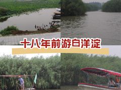 -白洋淀景区