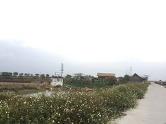 -海鸥岛河景湖大排档