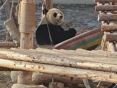 -石家庄市动物园