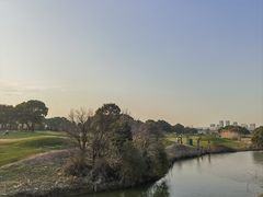 -银涛高尔夫练习场(徐泾店)