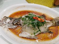 清蒸桂鱼-新兴家喻酒家·羊城名宴(昌岗店)
