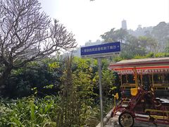 -南沙蒲洲花园