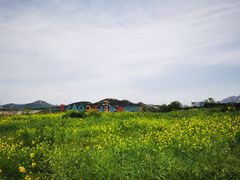 -西海岸生态观光园