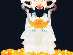-锦江乐园舞狸花花游园会(夜场专享)
