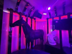-VIVA·百人年会团建篮球场轰趴馆