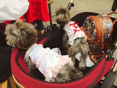 -林妈妈村·日式料理(宝山龙湖天街店)