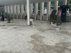 -中国宣纸文化园