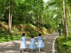 -潜山国家森林公园