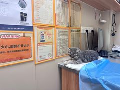 -创凡宠物医院·骨专科  猫科中心(西乡分院)