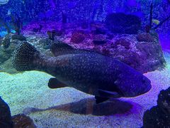 -沈阳海洋探索中心