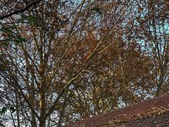 -西安电影制片厂