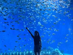 -合肥海洋世界