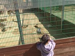 -羊亭河湿地公园