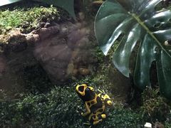 -暹罗海洋世界