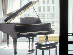 -Melody Mentor音乐私教馆(朝外·悠唐店)