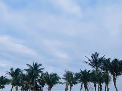 -玫瑰海岸文化旅游度假区