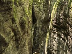 -牛背梁国家森林公园