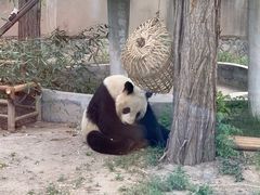 -天津市动物园
