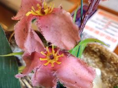 -三月居酒屋(青年大街店)