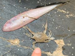 -平湖九龙山庄园圣马可酒店