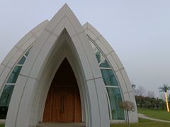 -瑶湖郊野森林公园