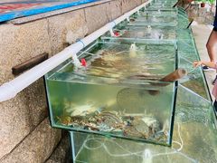-海岸风情蒸汽海鲜自助餐厅(家宴金手勺店)