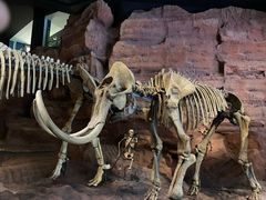 -居然之家(黑龙江南路店)