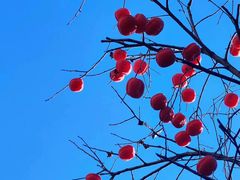 -东亿天弘演播大厅