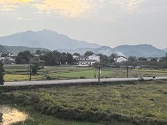 -黄牛肉馆·皖南土菜