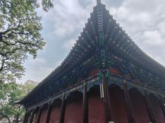 -护国法轮寺