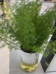 -吉艺心专业美发造型