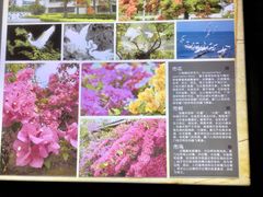 -铁路文化公园