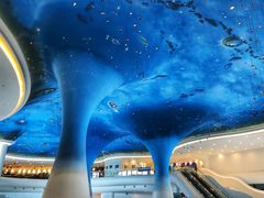 -夏黑子坛子鱼(总店)