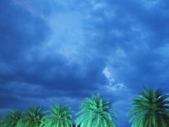 -清迈夜间动物园
