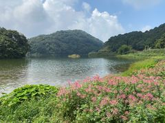 -广州市石门国家森林公园