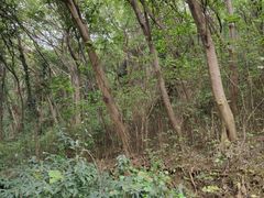 -南京金牛湖风景区