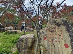 -广州市帽峰山景区