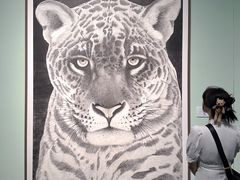 -江苏省美术馆(长江路新馆)