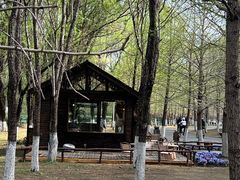 -长白岛森林公园