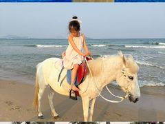 -亚特兰蒂斯-番红花海鲜自助餐厅·鲜活海鲜·小火锅