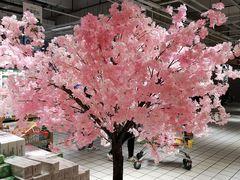 -大润发(花都店)