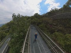 -福道