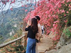 -木兰云雾山
