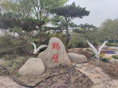 -北龙湖湿地公园