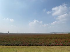 -南京枫彩漫城