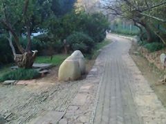 -雨花胜境