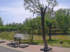 -杨柳青庄园