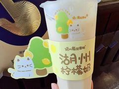 柠檬奶-猫的魔法密林(衣裳街店)